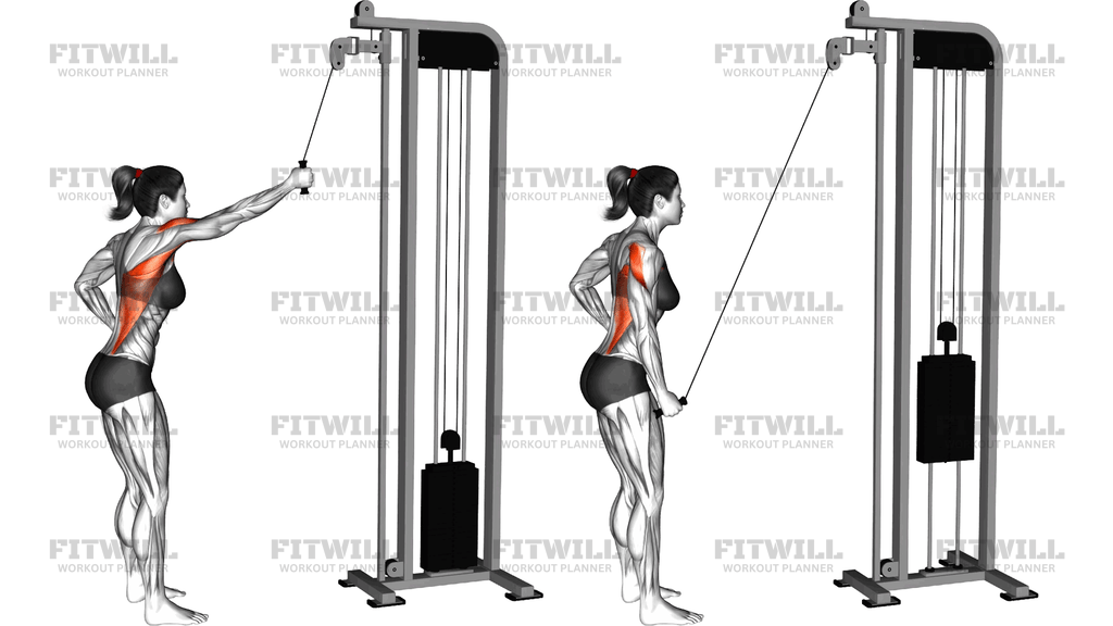 Cable One Arm Pulldown