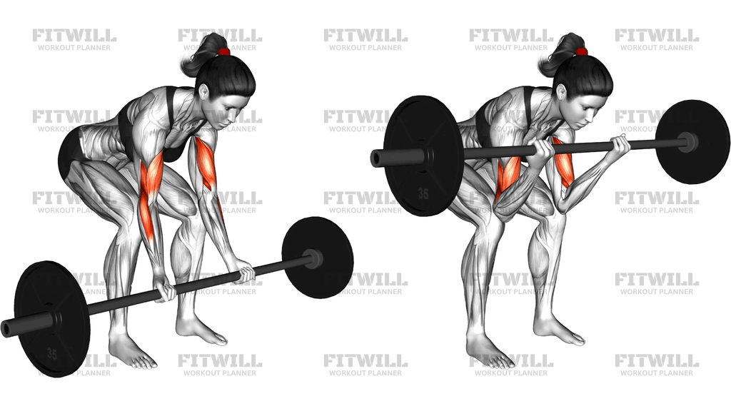 Barbell Standing Concentration Curl