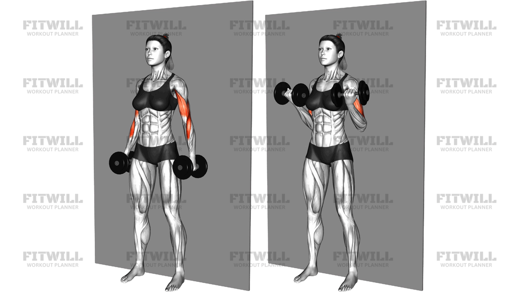 Dumbbell Srtict Curl