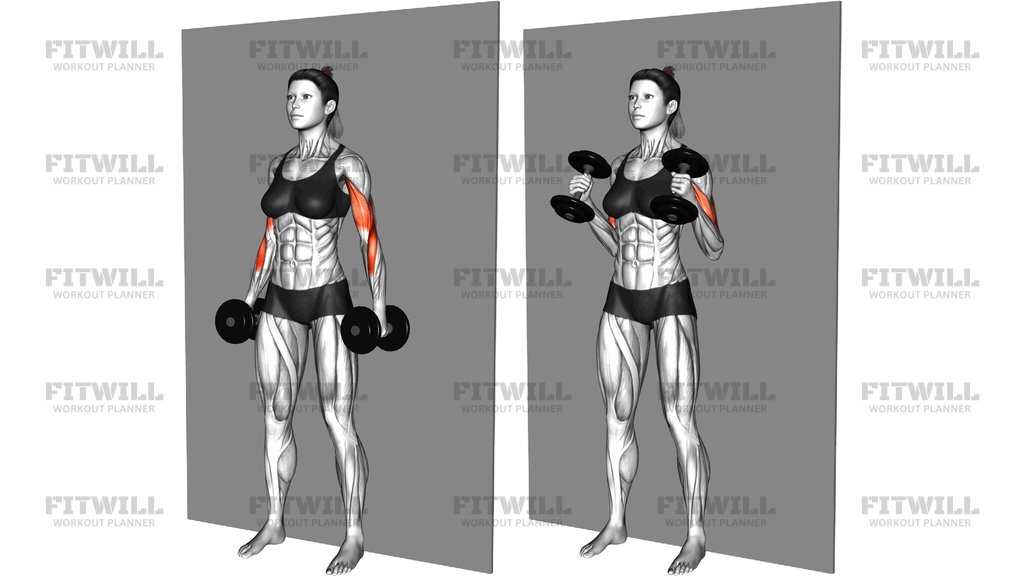 Dumbbell Hammer Srtict Curl