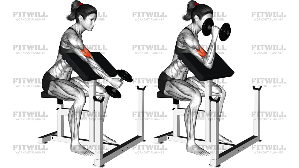 Dumbbell One Arm Hammer Preacher Curl