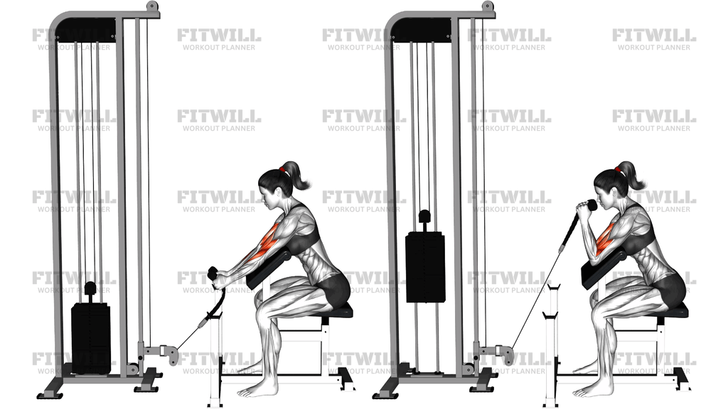 Hammer-Preacher-Curl Mit Seil Am Kabelturm