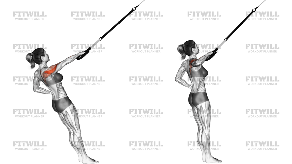 Suspension Single-Arm Rear Delt Row