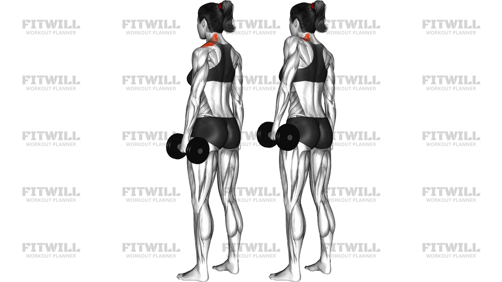 Dumbbell Single Arm Shrug