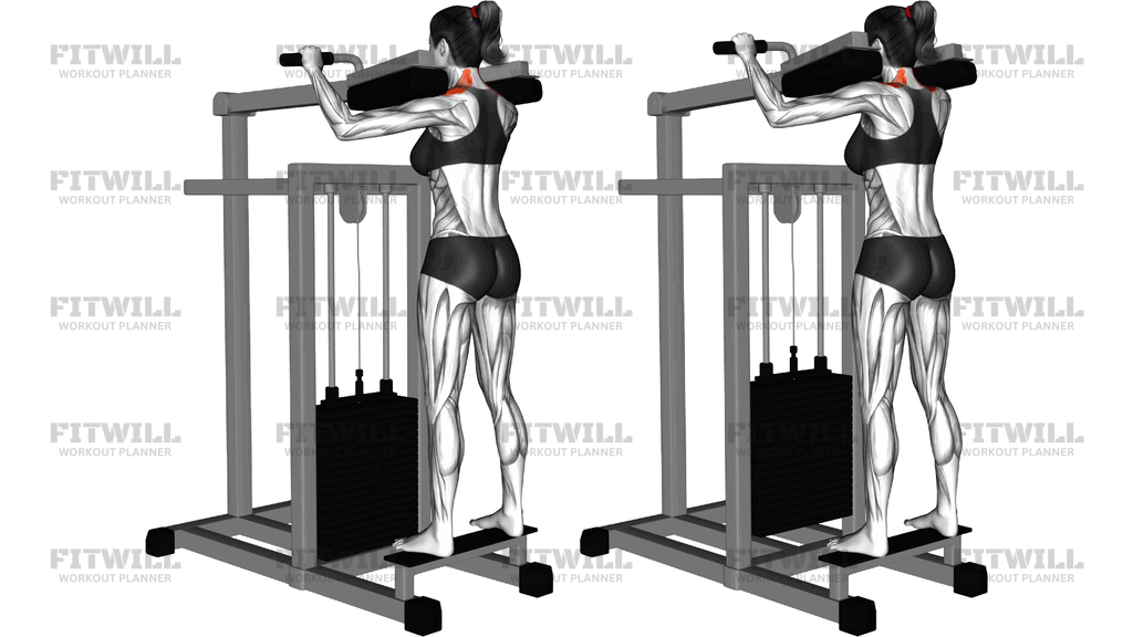 Lever Gripless Shrug