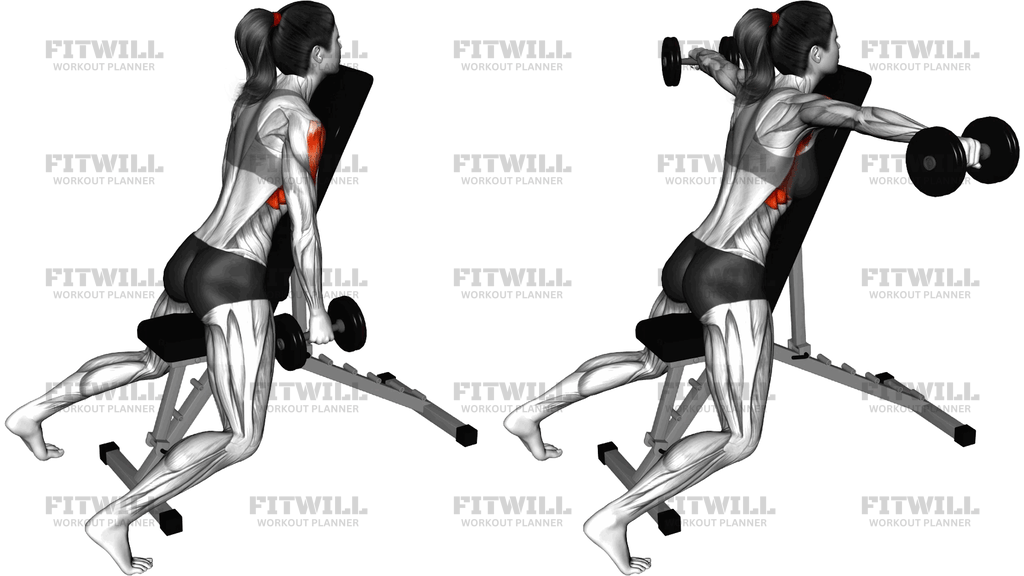 Dumbbell Chest Supported Lateral Raises