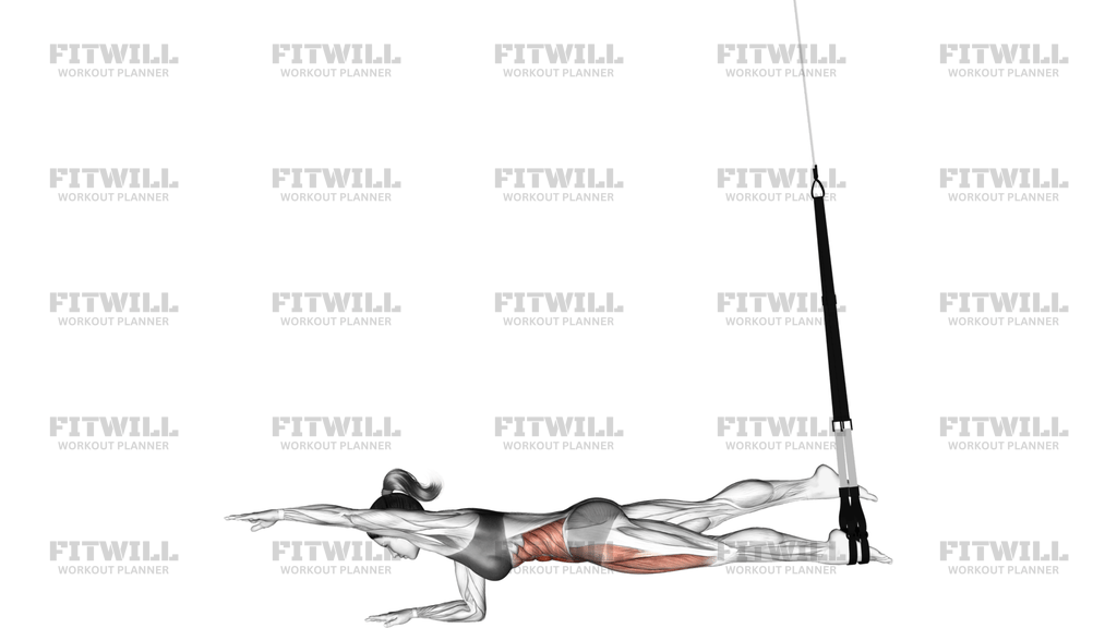 Suspension Single Leg Plank Straight Arm
