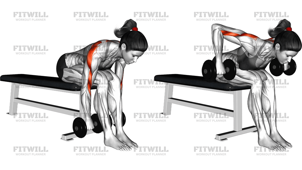 Row Rear Delt Duduk Membungkuk Dengan Dumbbell