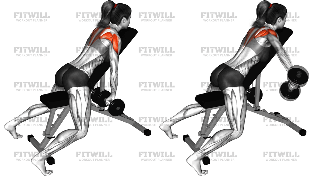 Dumbbell Incline Alternate Neutral Grip Reverse