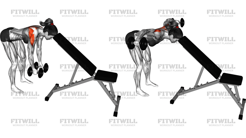 Dumbbell Rear Lateral Raise (Support Head)