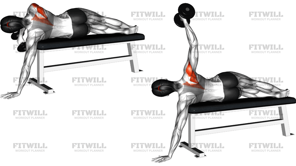 Dumbbell Lying One Arm Deltoid Rear