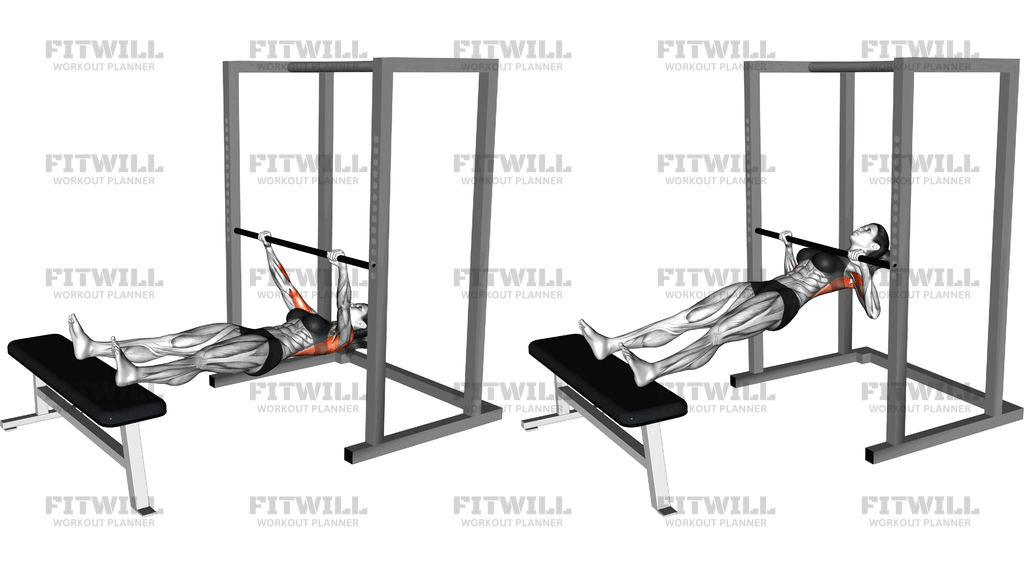 Inverted Row On Bench
