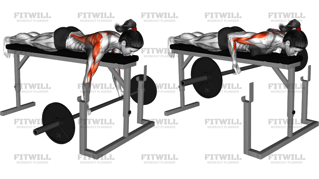 Barbell Lying Close Grip Underhand Row On Rack