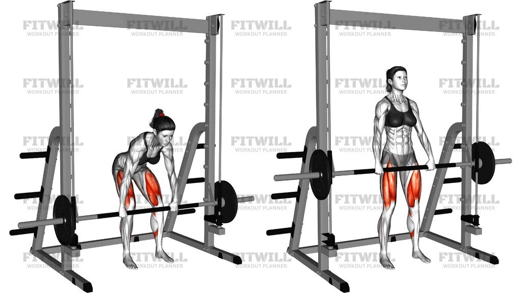 Smith Rack Pull