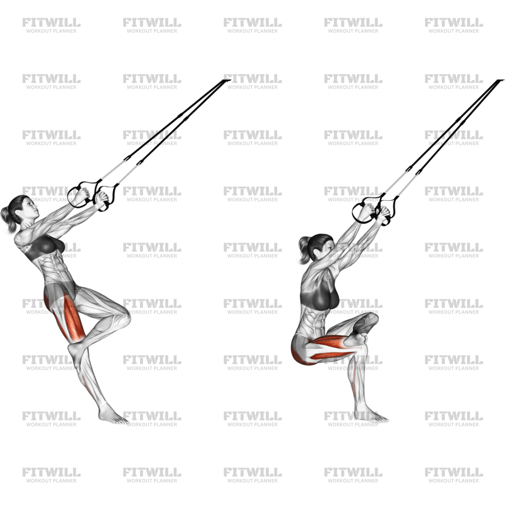 Suspension Single Leg Squat Figure: Exercise Guide, Video, Techniques ...