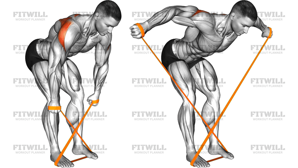 Resistance Band Bent Over Reverse Fly