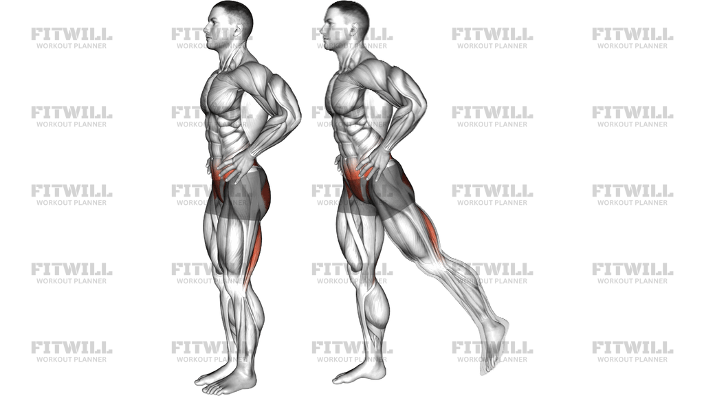 Standing Alternate Glute Kickback