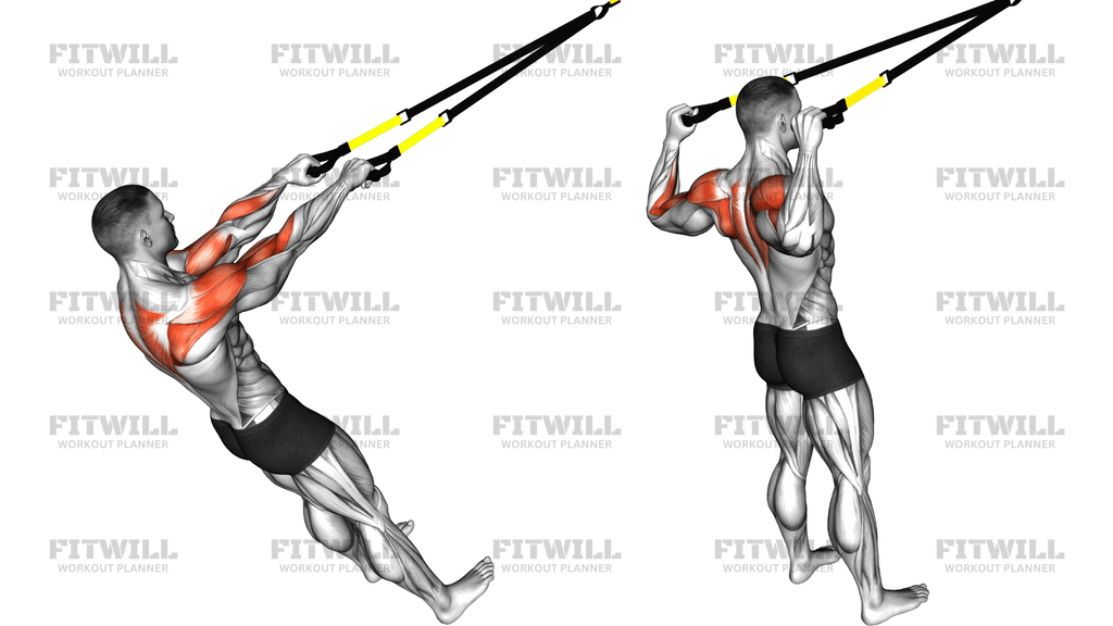 Face Pull Szuszpenziós Trainerrel