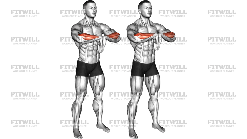 Wrist Extensor Stretch