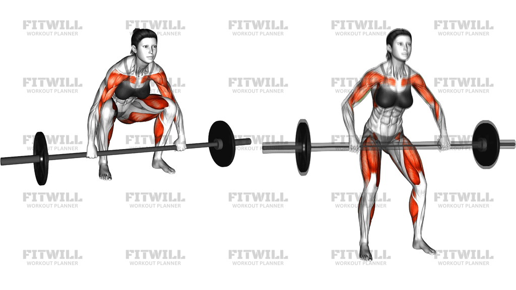 Snatch Pull