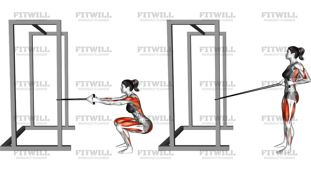 Band Squat Row