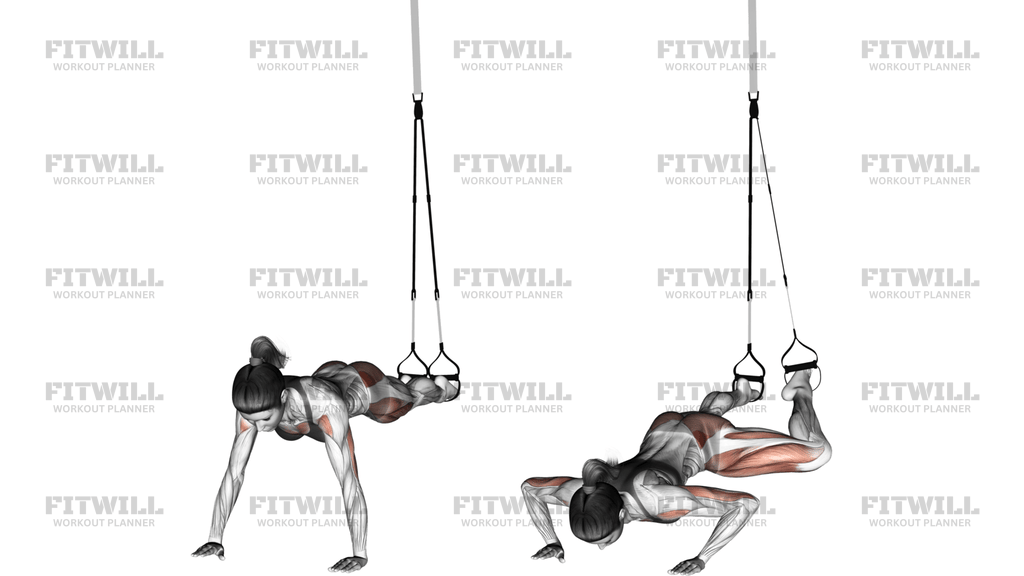 Suspension Spiderman Push-Up