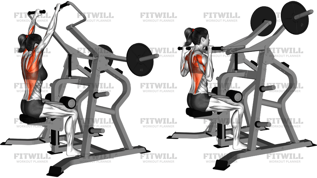 Lever Lateral Pulldown (Plate Loaded)
