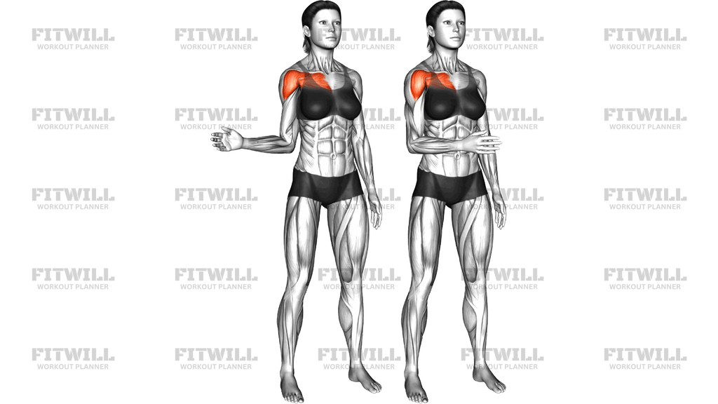 Shoulder Medial Rotation (Internal Rotation)