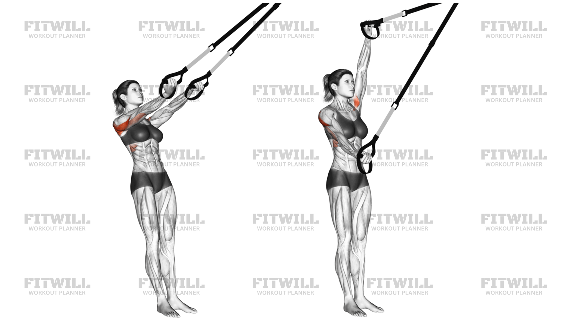 Suspension Split Fly: Exercise Guide, Video, Techniques, Benefits, How ...