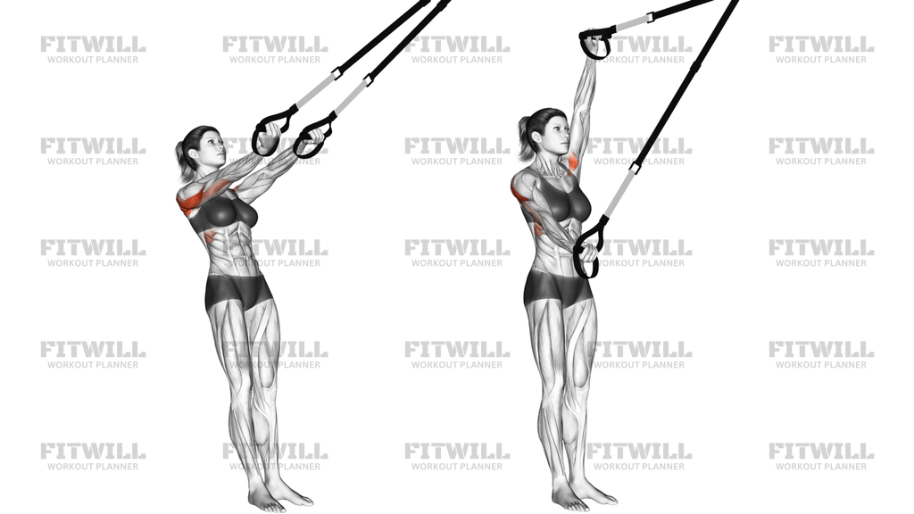Suspension Split Fly