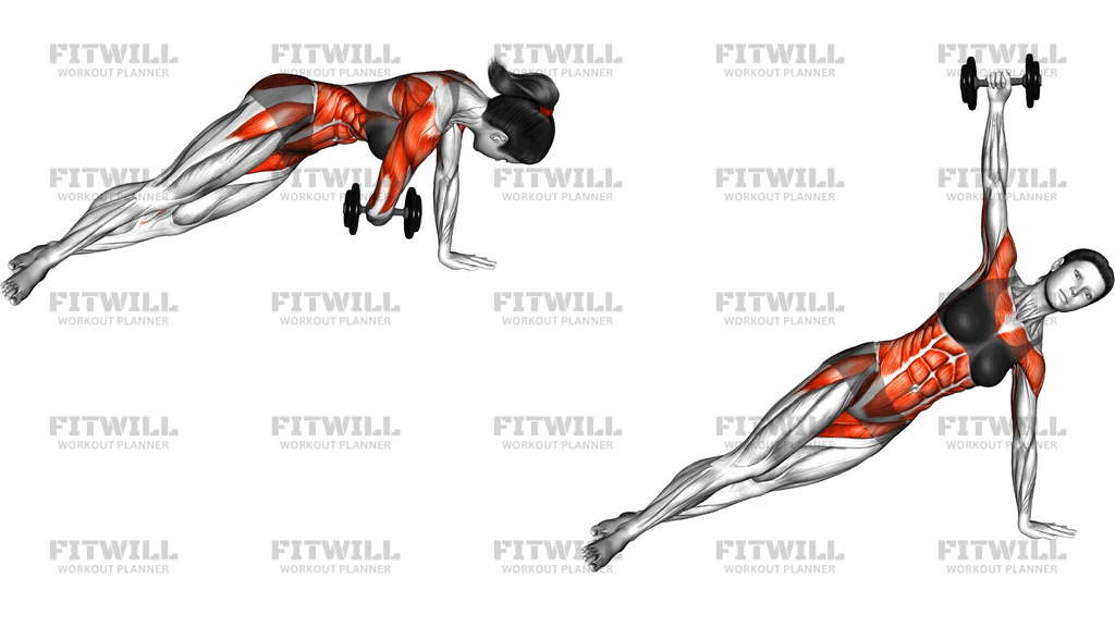 Dumbbell Side Plank With Rear Fly