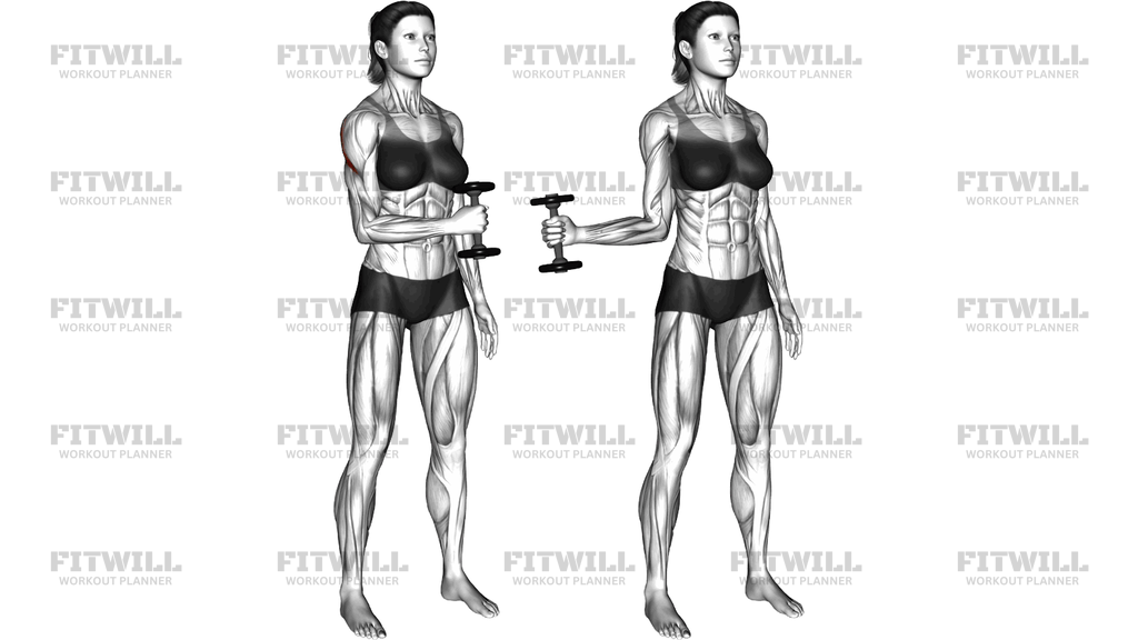 Dumbbell External Rotation