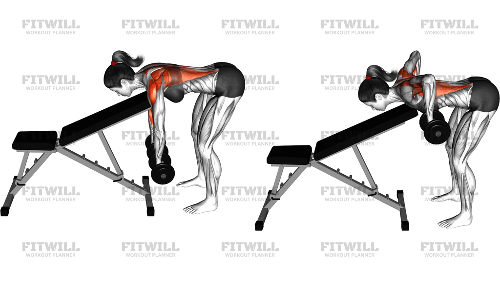 Dumbbell Chest Supported Row
