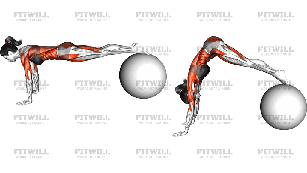 Exercise Ball Pike Pushup
