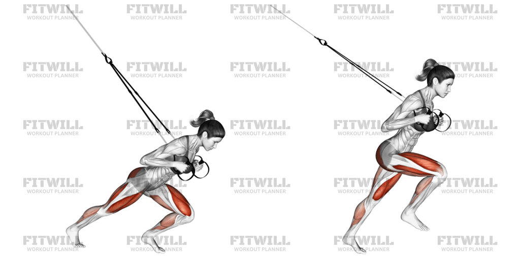 Suspension Sprinter: Exercise Guide, Video, Techniques, Benefits, How ...