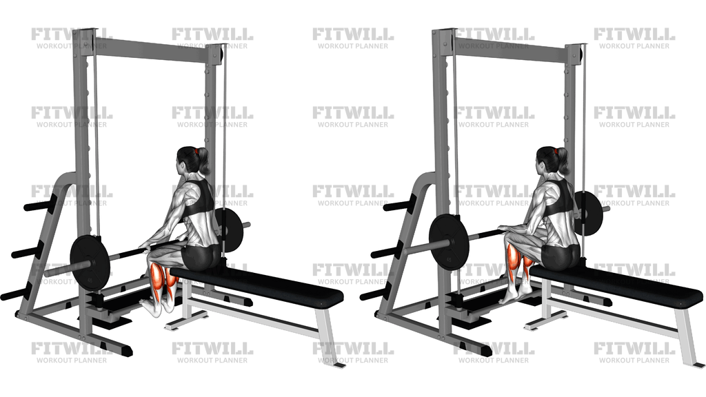 Smith Seated Calf Raise