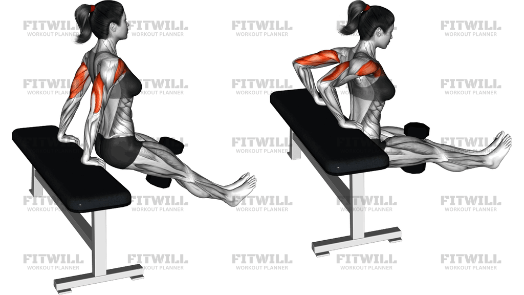 Dumbbell Bench Dip