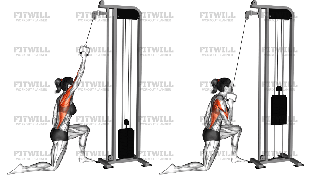 Cable Kneeling One Arm Lat Pulldown