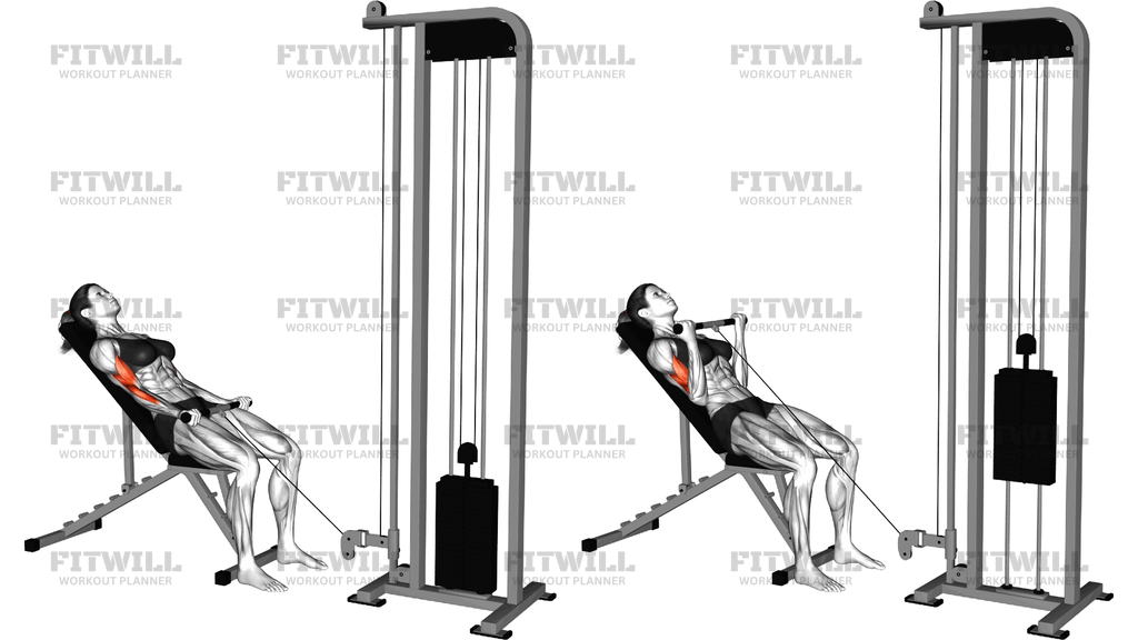 Cable Incline Biceps Curl