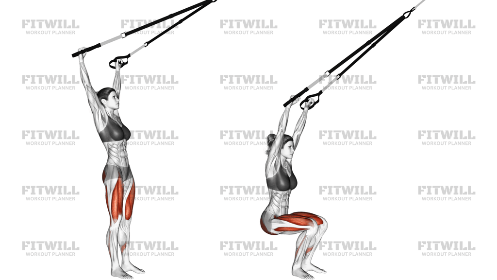 Suspension Squat Arms Overhead