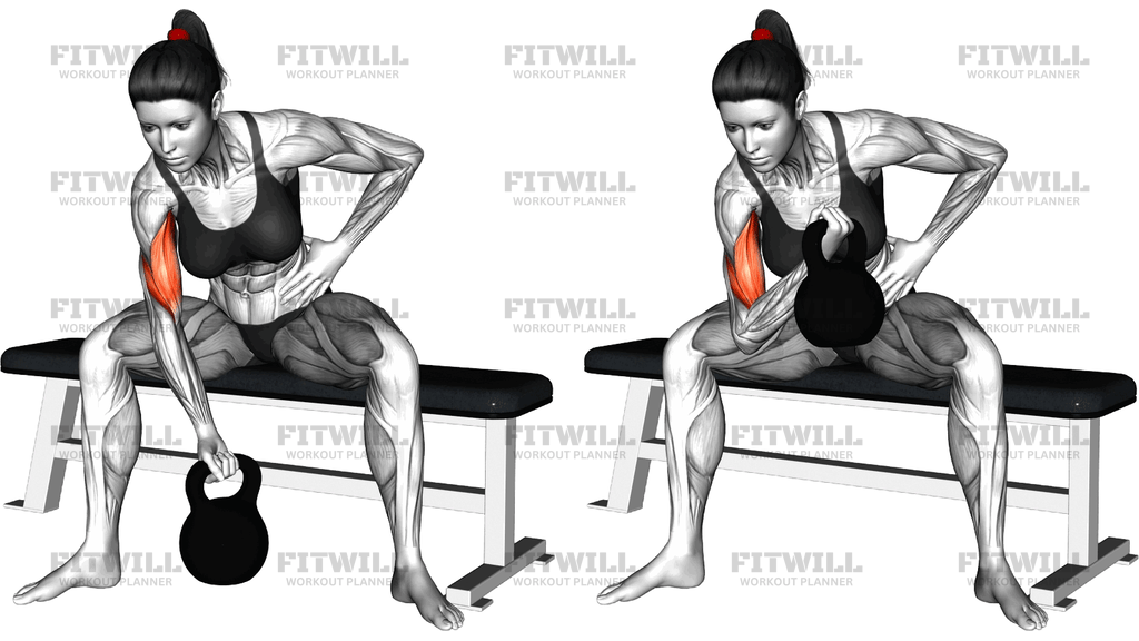 Kettlebell Concentration Curl