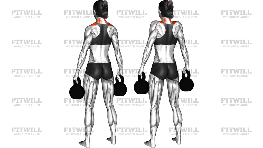 Kettlebell Shrug