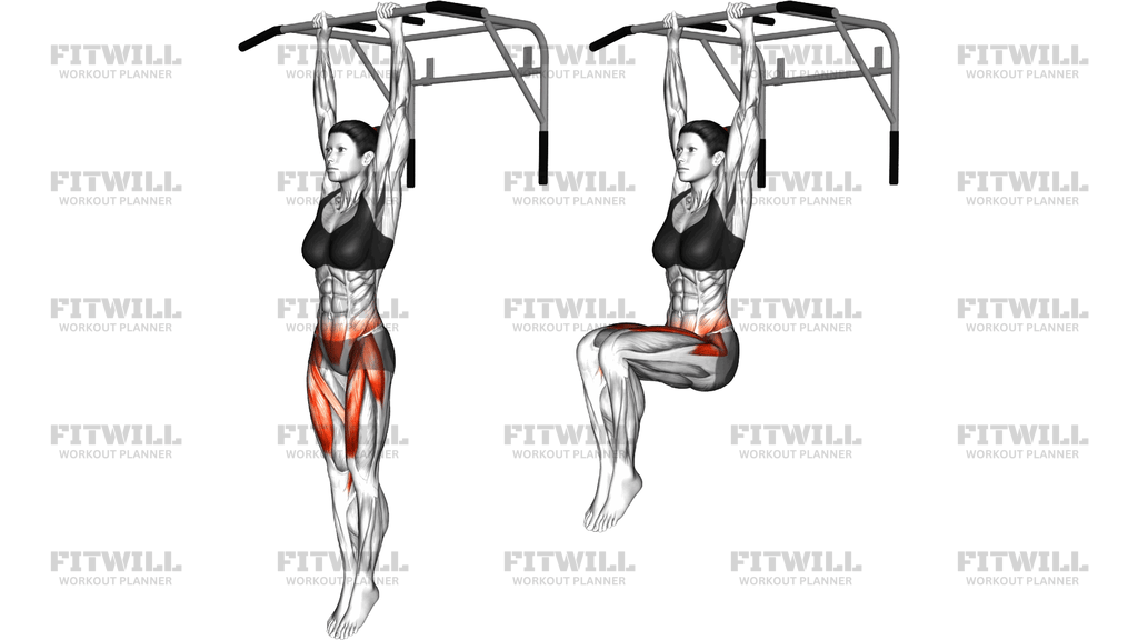 Hanging Knee Raise