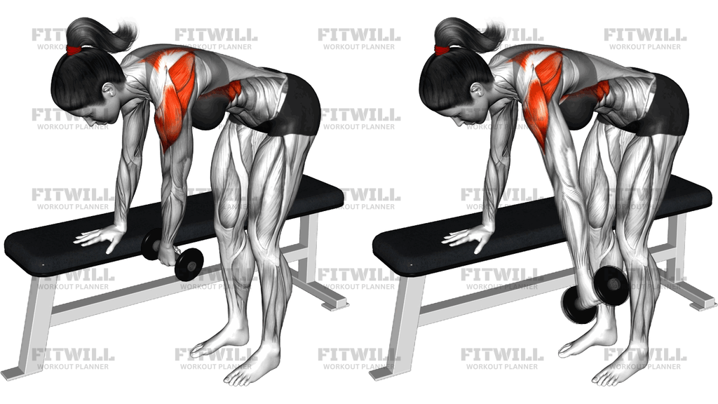 Weighted Dumbbell Shoulder Pendulum