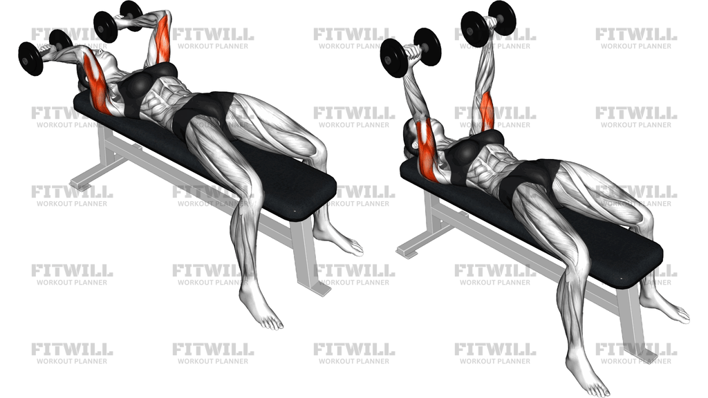 Dumbbell Lying Triceps Extension Skull Crusher