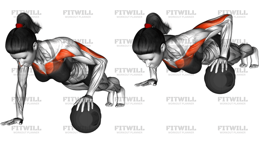 Push Up Medicine Ball