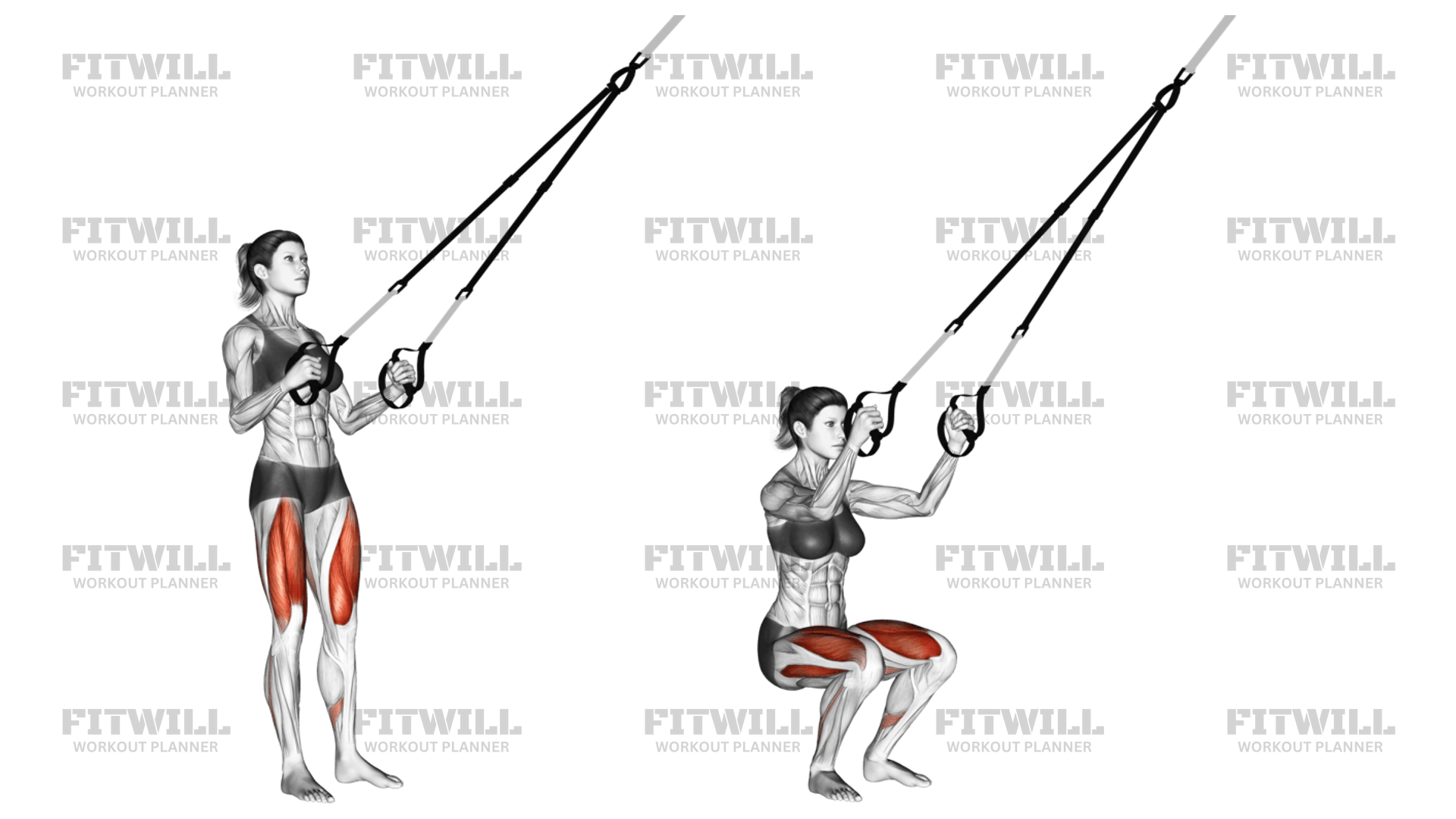 Suspension Squat Exercise Guide, Video, Techniques, Benefits, How to