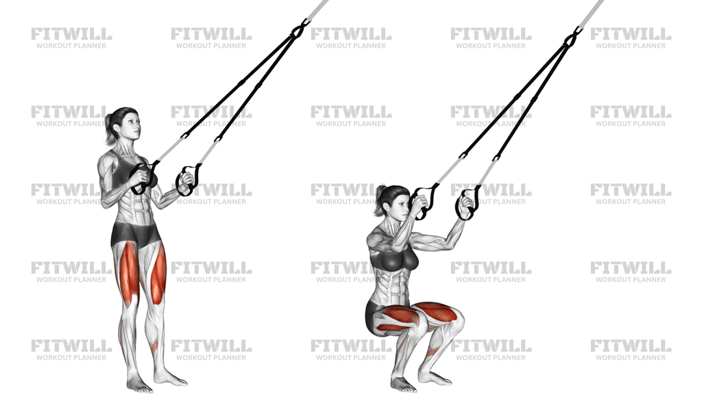 Suspension Squat