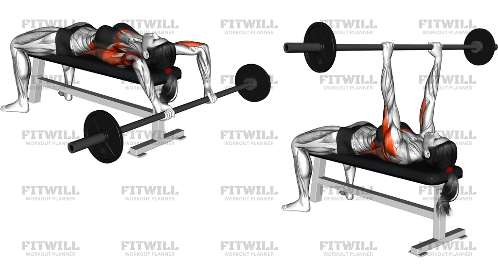 Barbell Bent Arm Pullover