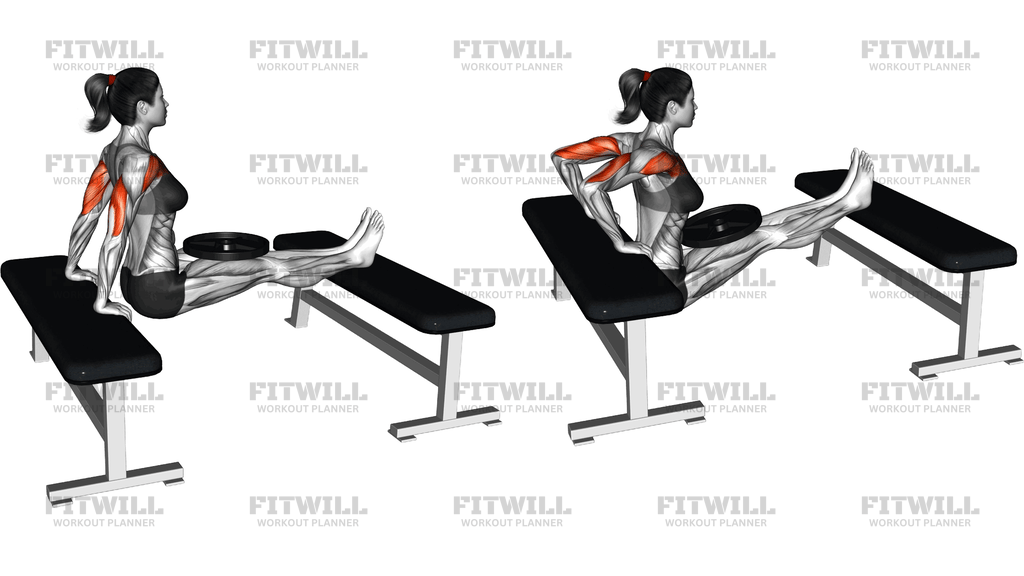 Weighted Bench Dip